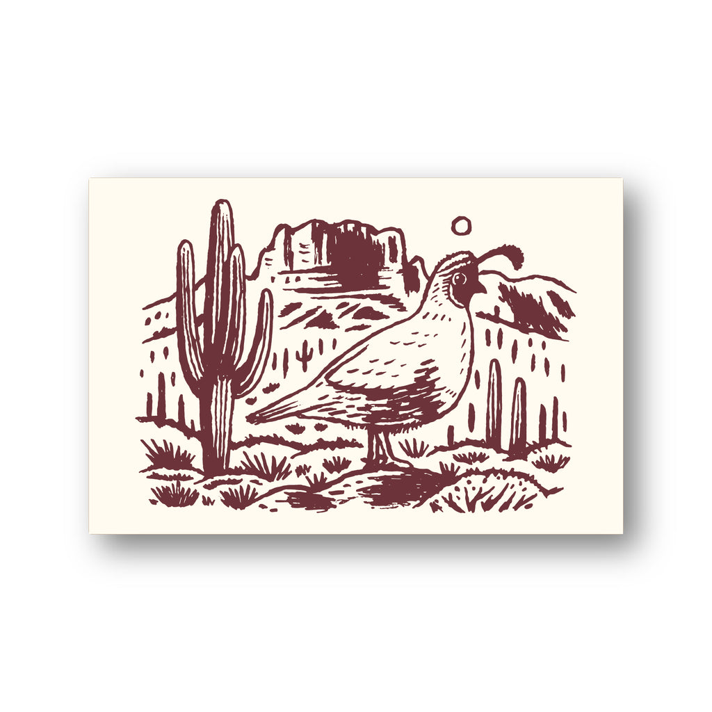The Desert Postcard Set (10-Pack)